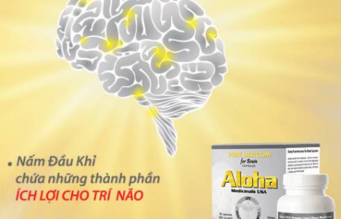 NẤM ĐẦU KHỈ ALOHA NẤM ĐẦU KHỈ ALOHA