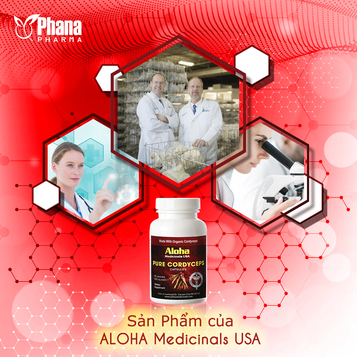 Aloha Medici Đông Trùng Hạ Thảo Aloha Phục Hồi Sinh Lực Thần Kỳ